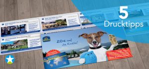 Aufsicht eines Flyers für das Best Western Hotel mit Zimmerangeboten. Auf dem Titel ein Hund mit Sparschwein und einem Stapel Münzen. Text: 20 € auf die Kralle!